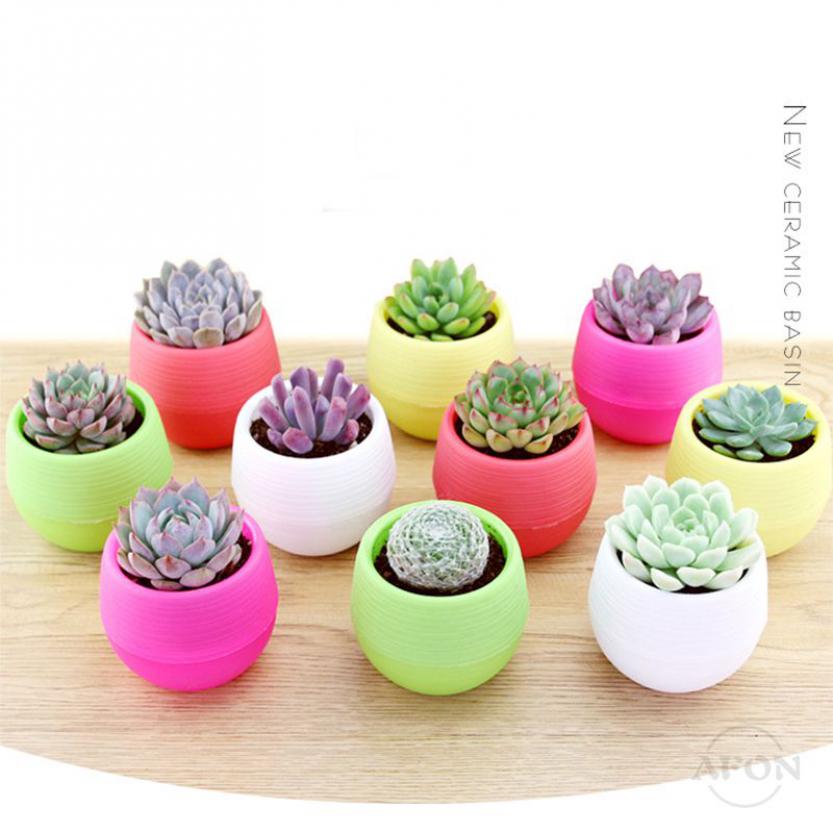 AFON Chậu mini cây chất liệu nhựa