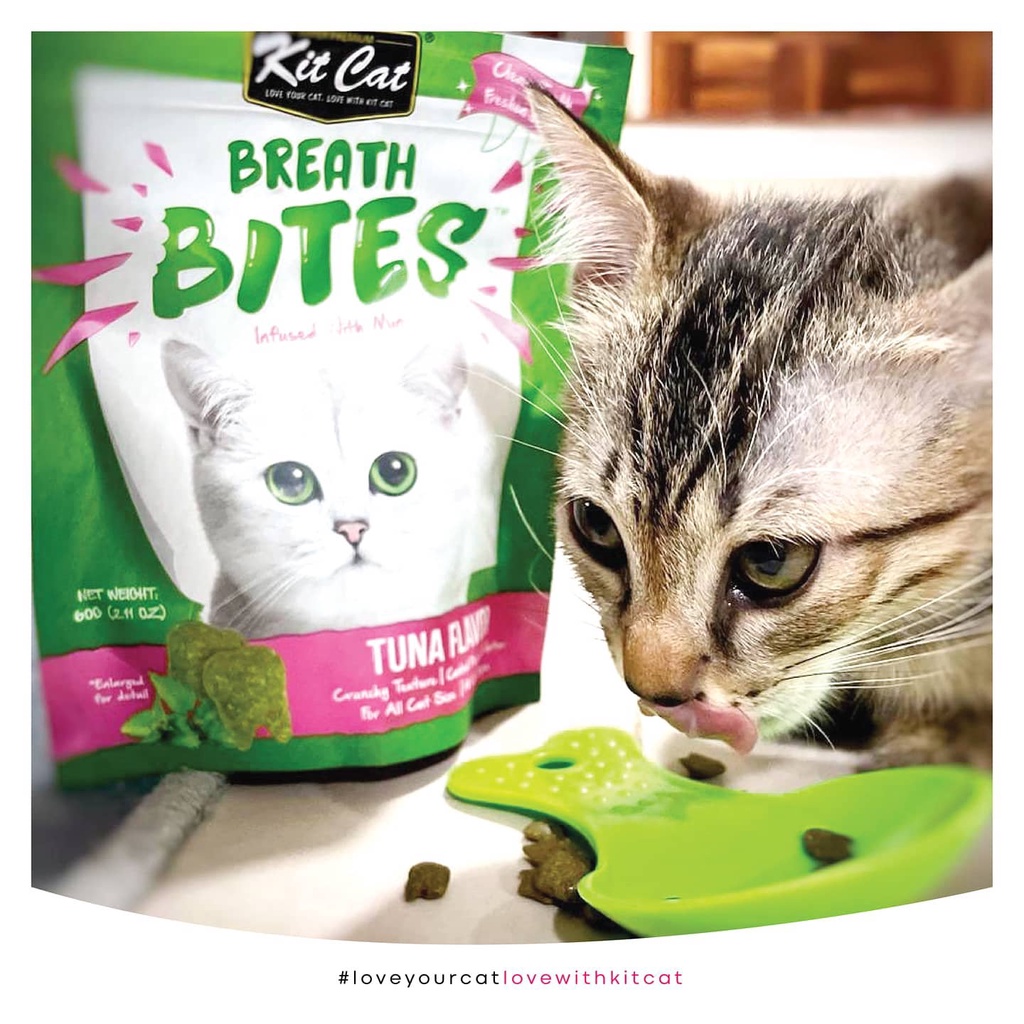 Bánh thưởng cho mèo Kit cat breath bite 60g, thức ăn snack kitcat vặt sạch răng thơm miệng Con Mèo Xiêm