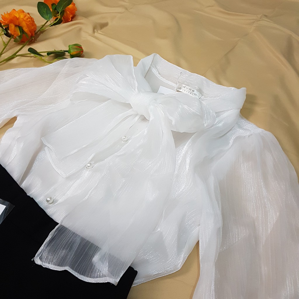 [Mã FAMAYWA giảm 10K đơn 50K] Áo sơ mi tơ óng thắt nơ sang chảnh dài tay/ ngắn tay | BigBuy360 - bigbuy360.vn