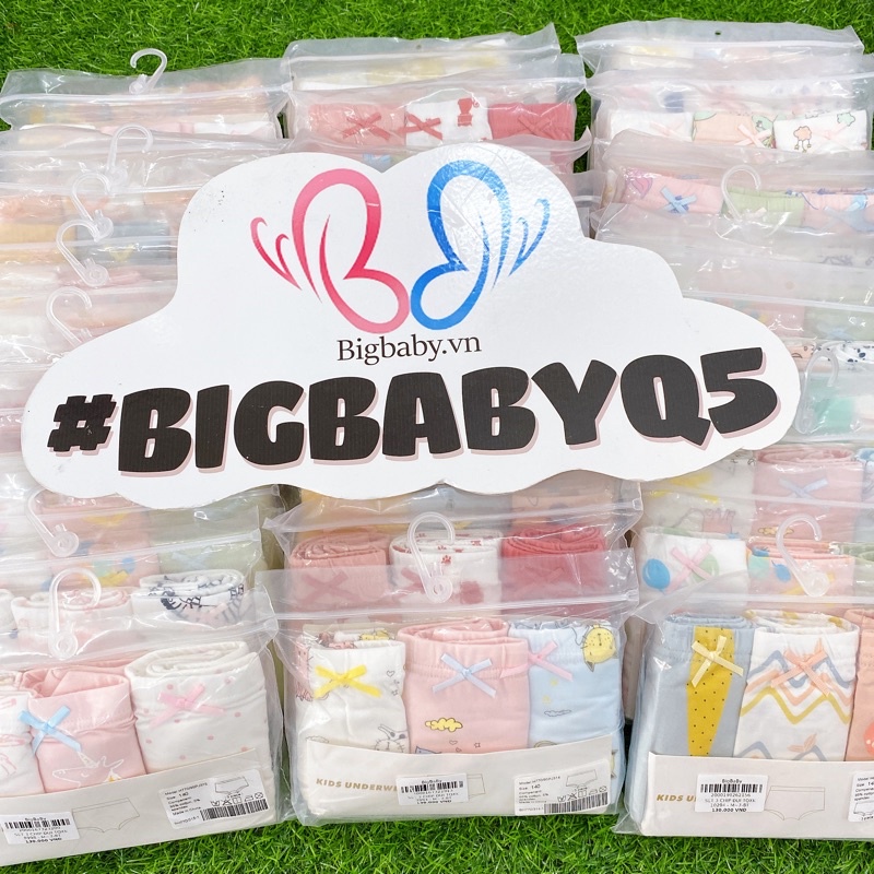 Set 3 quần chip đùi bé gái Bigbaby nhiều mẫu dễ thương cho bé 12-40KG