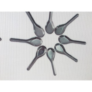 Thìa inox 304