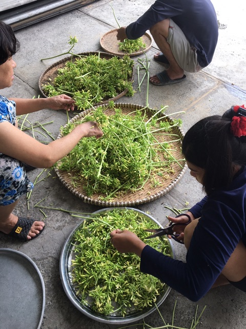 Hoa đu đủ đực khô tươi loại 100g