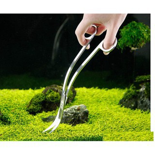 DỤNG CỤ NHÍP KÉO INOX CHO BỂ THỦY SINH