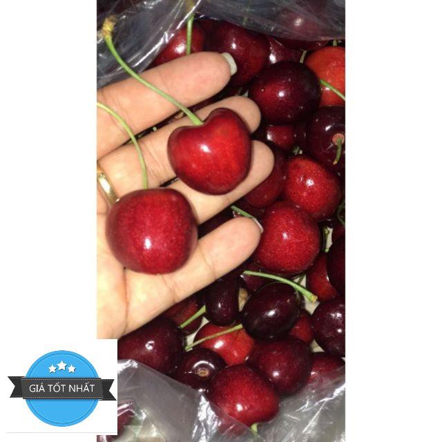 Hạt giống Quả Anh Đào (Cherry) 5 Hạt/ Gói