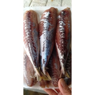 1kg Cá nục lột da 1 nắng (hoả tốc 2h tphcm)