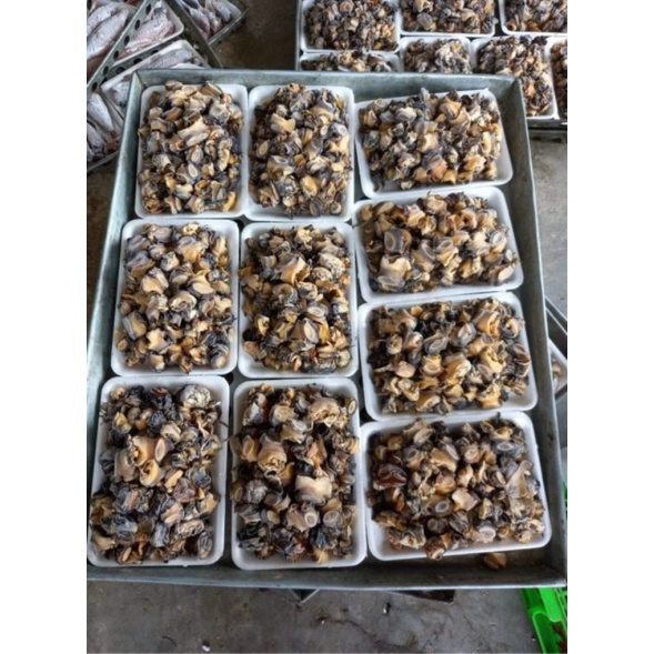 RUỘT ỐC BƯƠU LÀM SẠCH 500g.