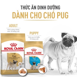 Thức ăn cho chó 1.5kg Royal Canin Pug