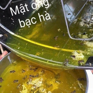 Mật ong bạc hà chuẩn rừng Hà Giang