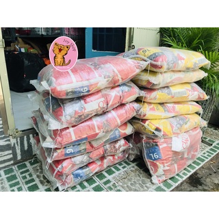 [BAO 9L] CÁT VỆ SINH CIAO CHO MÈO