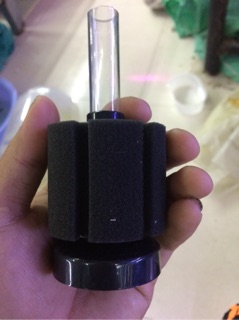 Lọc vi sinh mini