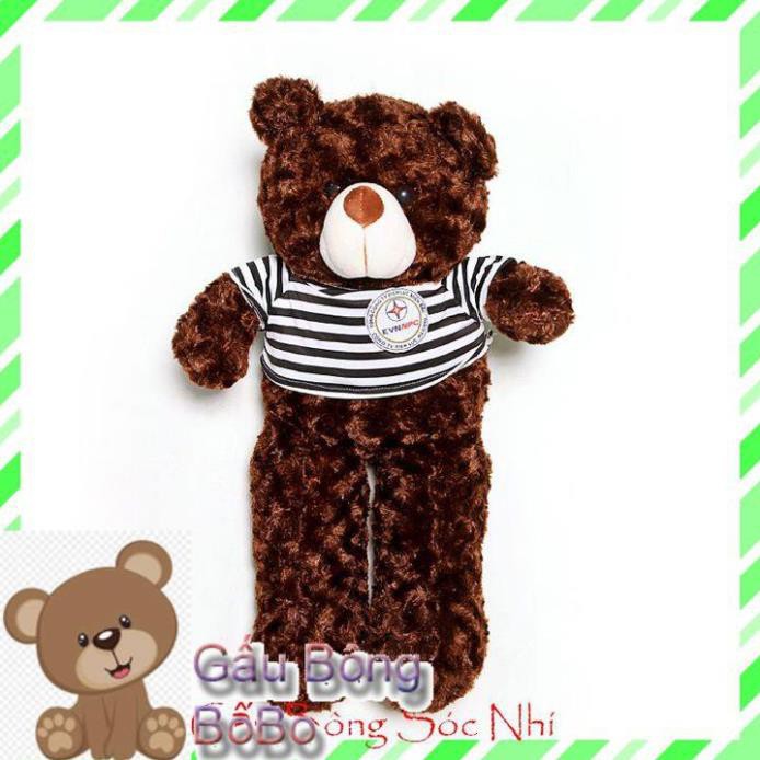 [BOBO] [Mua để nhận quà] Gấu Bông Teddy Xinh Xắn Size 60cm 💥 FREESHIP 💥 Gấu Bông Sóc Nhí