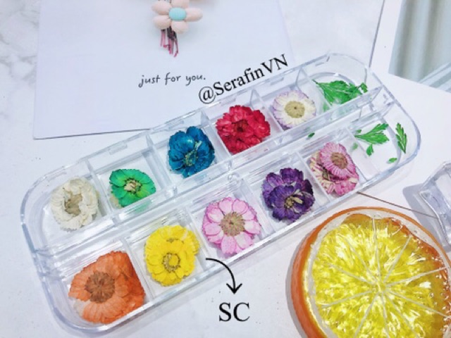 HOA KHÔ LÀM NAIL - ĐẮP ẨN - ĐẮP GEL NHIỀU KIỂU