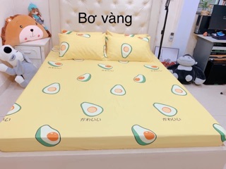 Bộ ga vỏ gối cotton poly (1 grap giường + 2 vỏ gối nằm)