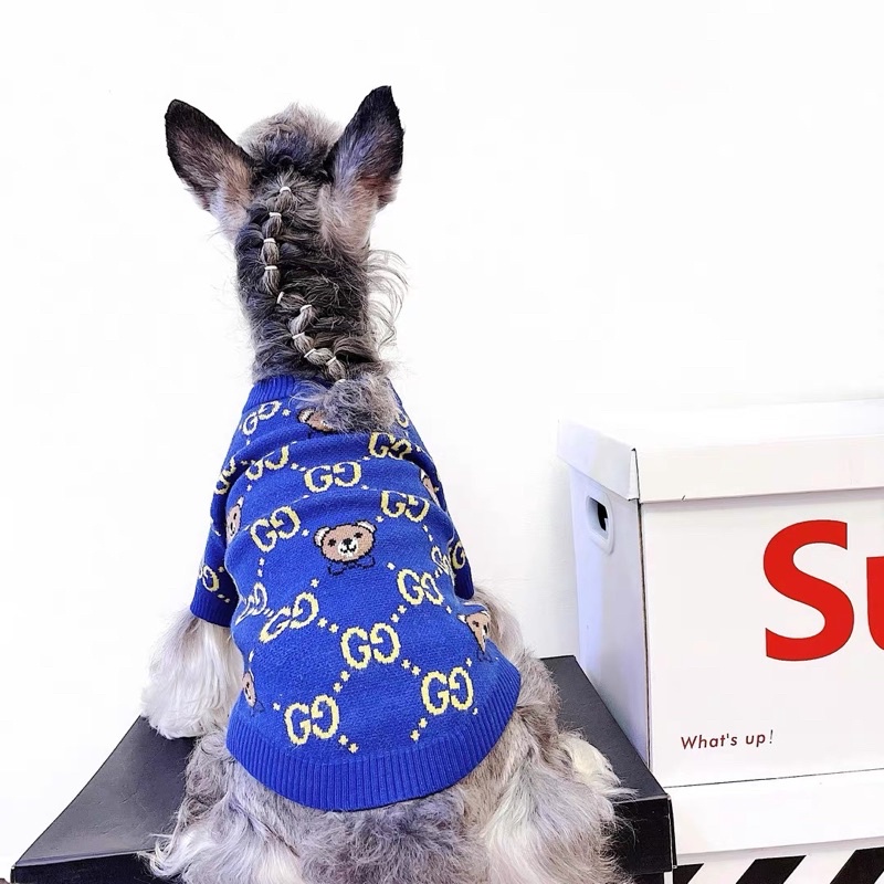 ÁO LEN GUCCl GẤU dành cho chó mèo