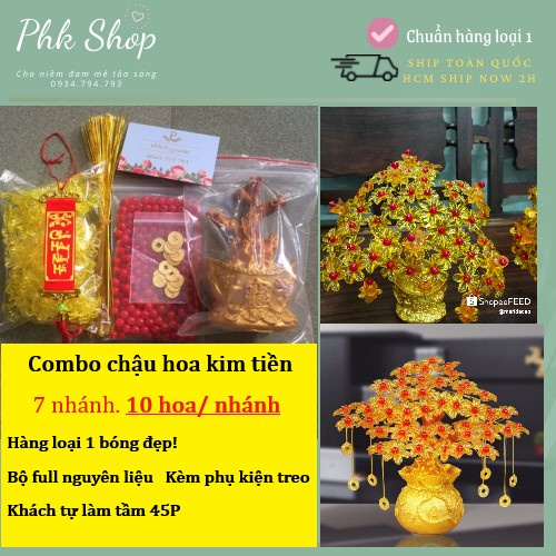 Combo nguyên liệu cây kim tiền cành vàng lá Ngọc phk shop Chùm 10 HOA nha