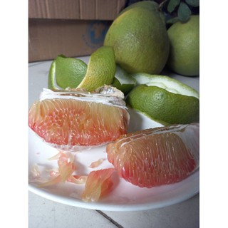 Combo 2 trái Bưởi Da Xanh Bến Tre (1kg~1,2kg/trái)