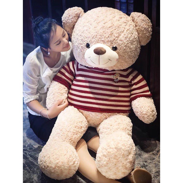 Gấu Bông Teddy 1m8, Thú Nhồi Bông Siêu To Teddy 1m8