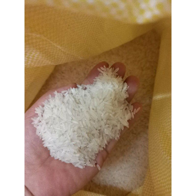 gạo st24 bao 10kg