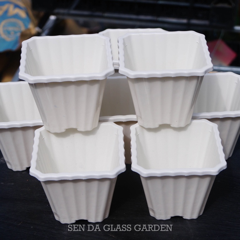 Chậu Nhựa Vuông Trắng 10x12cm trồng sen đá, xương rồng - thoát nước tốt - Lỗi 1 đổi 1