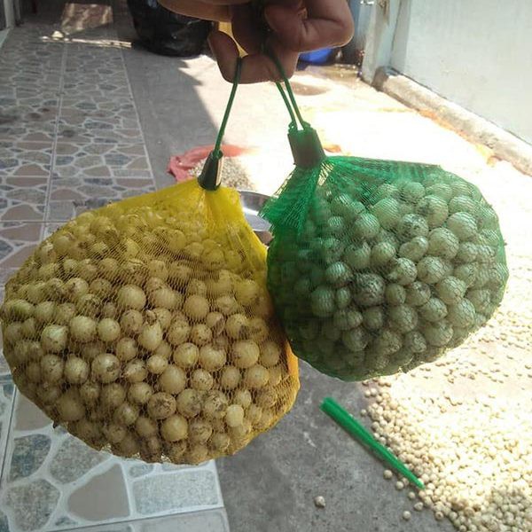 Củ nén  Miền Trung Loại 1 - 500g