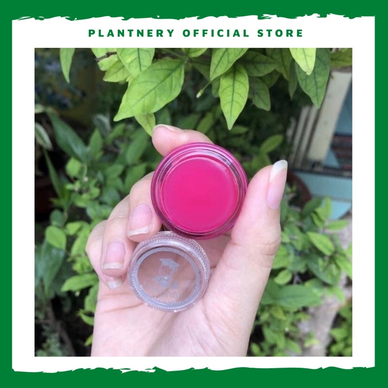 Son dưỡng hồng môi Lips Care Thái Lan Plantnery