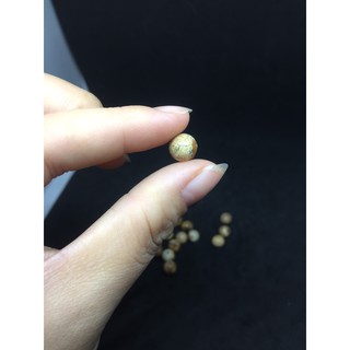 Hạt tròn Picture Jasper - Handmade