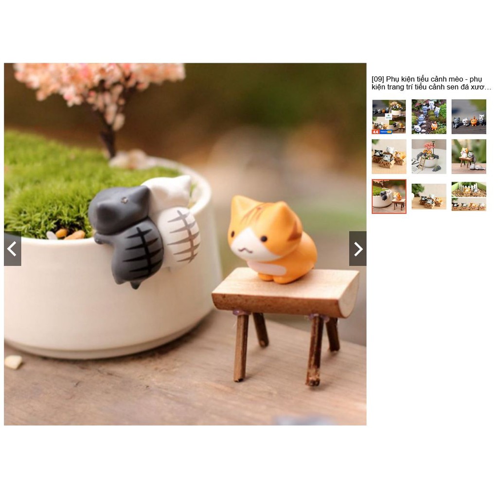 Mèo trong hộp, mèo làm phụ kiện trang trí sen đá, xương rồng, bonsai, terrarium, cây cảnh mini, cây để bàn [LOẠI 1]