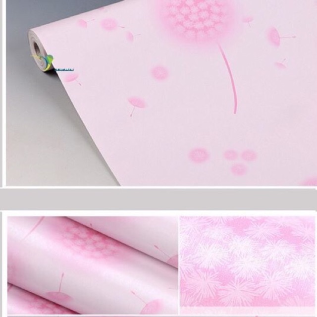 Decal cuộn bồ công anh hồng 