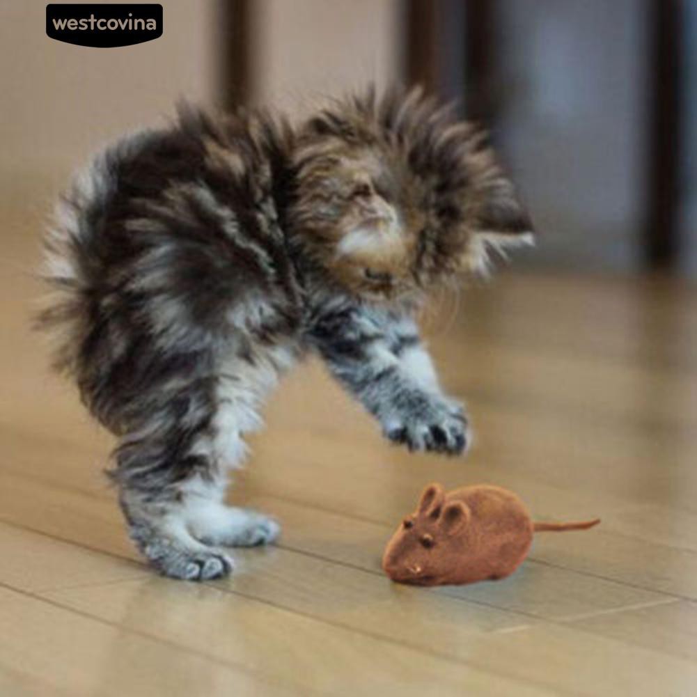 Đồ chơi chuột giả mới lạ cho mèo vui chơi