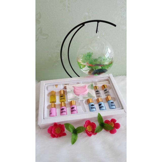 Set thuốc uốn mi 6D hàn quốc