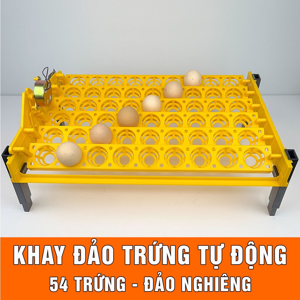 Máy ấp trứng mini Ánh Dương P100 54 trứng gà khay đảo tự động hiệu quả cao, bảo hành 12 tháng