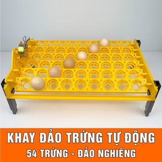 Khay đảo trứng tự động nghiêng 54 trứng