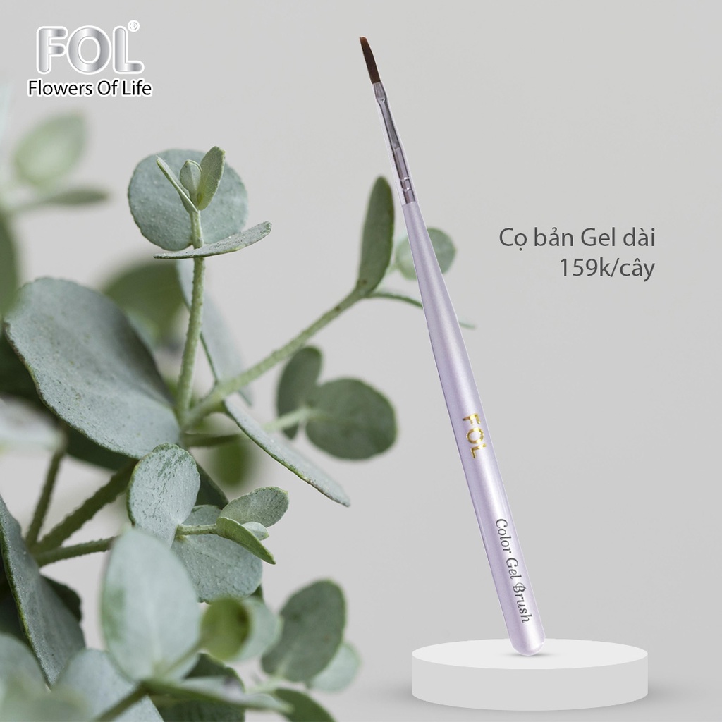 Cọ bản Gel dài Fol