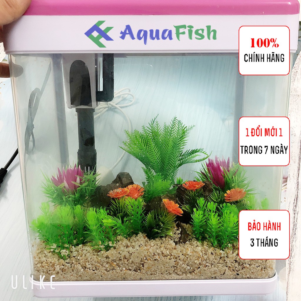 Bộ Bể Cá Bằng Kính Đúc MJ 260 (đã bao gồm đèn và bộ lọc, tặng bộ trang trí trị giá 100k)