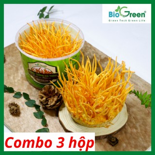 Đông Trùng Hạ Thảo Tươi Nguyên Đế Tròn Biogreen