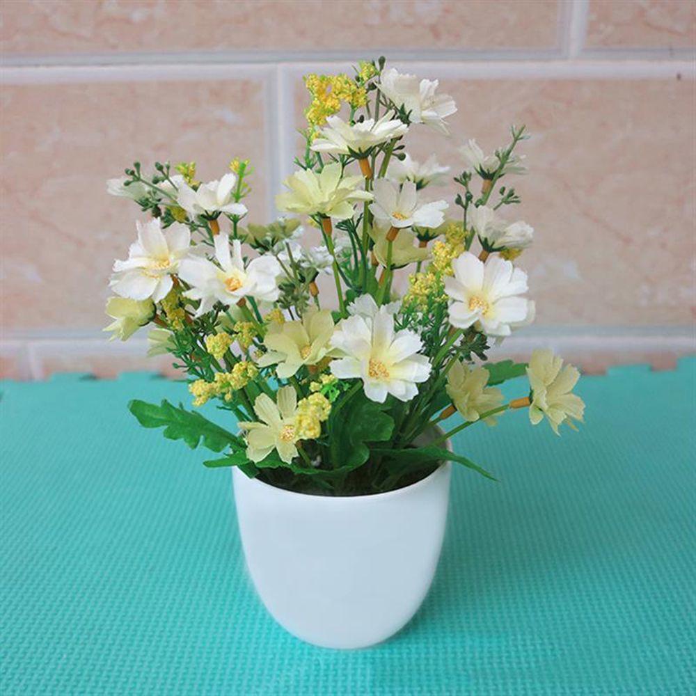 CONOPERY 1 Bộ Chậu Cây Bonsai Mini Trang Trí Tiệc