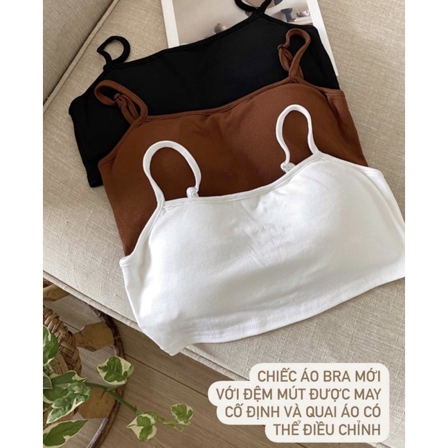 Áo bra nữ cotton dày dặn co giãn có mút form croptop