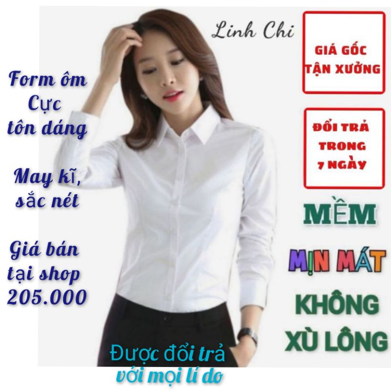 Áo sơ mi trắng công sở nữ tay dài form nhỏ  mặc cực tôn dáng sang trọng vải kate Ý đẹp  không xù lông thoáng mát SMTD01