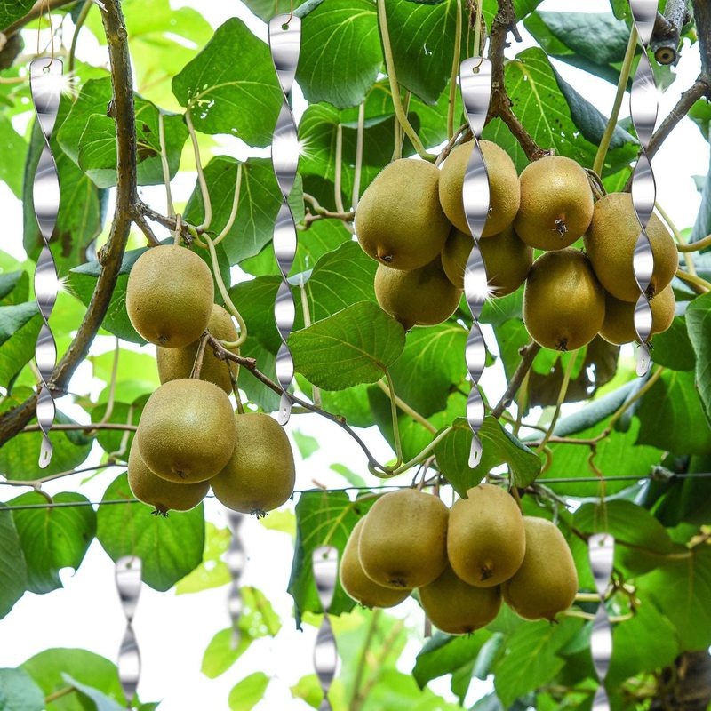 Set 6 Dụng Cụ Đuổi Chim Dạng Xoắn Ốc Tiện Lợi Sự Bảo Vệ