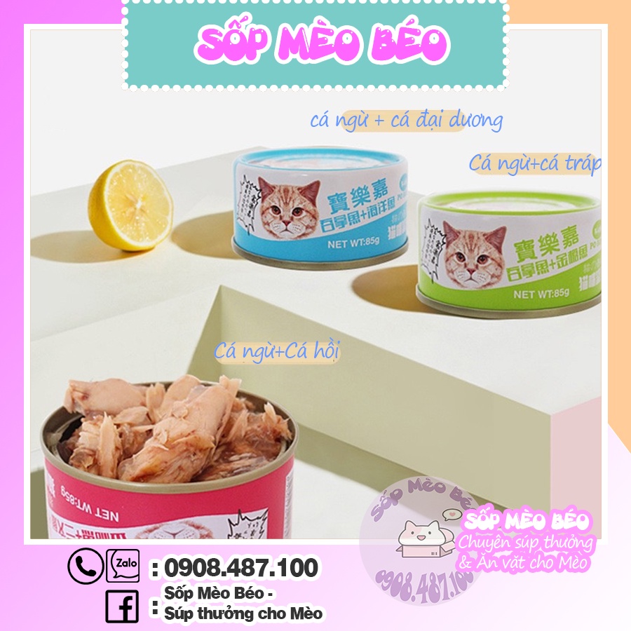 Lon Cá nguyên sớ Po Roca 85gr dành riêng cho Mèo