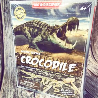 HOÁ THẠCH KHỦNG LONG KHẢO CỔ, LẮP RÁP