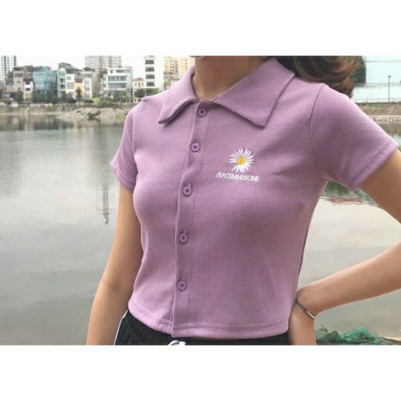 [ Mã WASTAPR giảm 10K đơn 50K] Áo croptop nữ cổ bẻ thêu hoa cúc nhiều màu | BigBuy360 - bigbuy360.vn