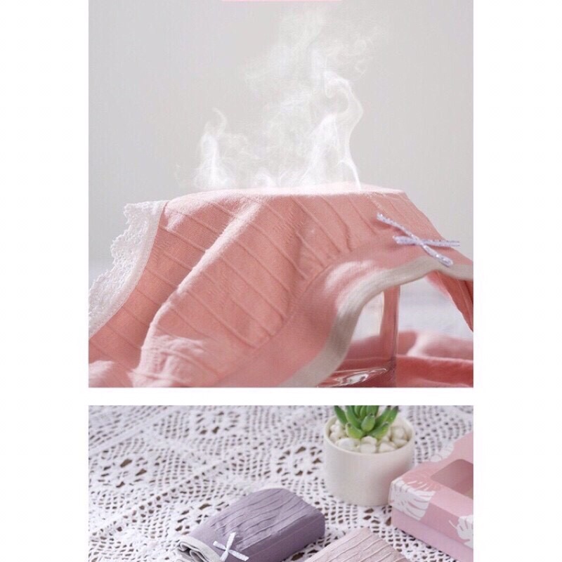 Hộp 5 Quần lót nữ cotton kháng khuẩn thiên nga