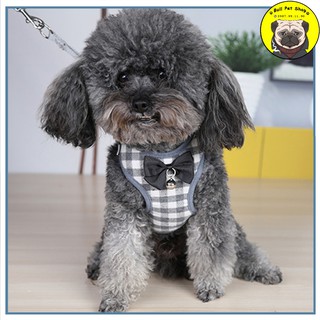 [Rẻ Vô Địch] Dây Dắt Chó Mèo Yếm Ngực Hàn Quốc Nơ Chuông Retro Dây Dẫn Cho Thú Cưng Chất Liệu Vải Dạ Kèm Khoá Kim Loại