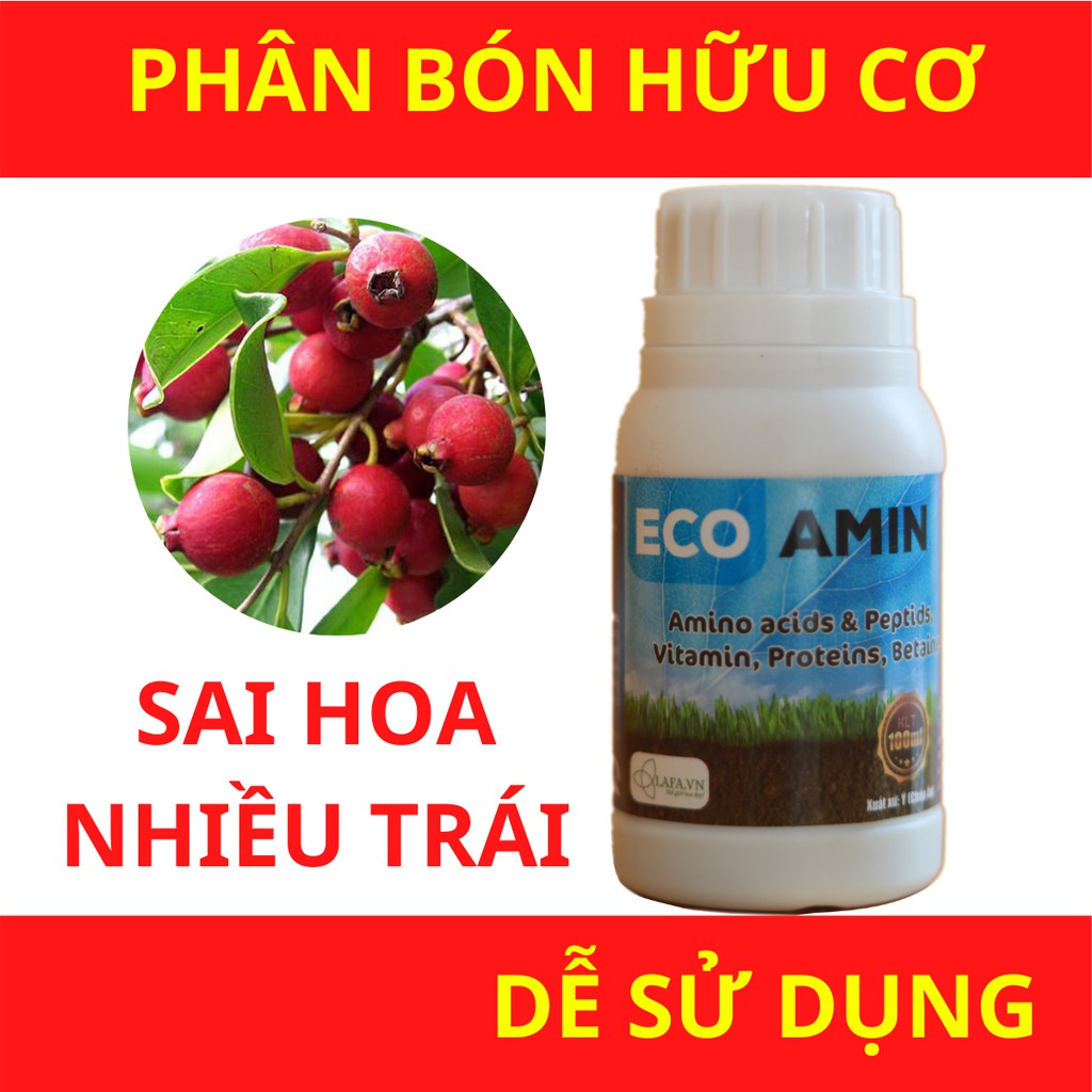 Phân bón hữu cơ Eco Amin LAFA chai 100ml sử dụng trong giai đoạn cây trồng phát triển