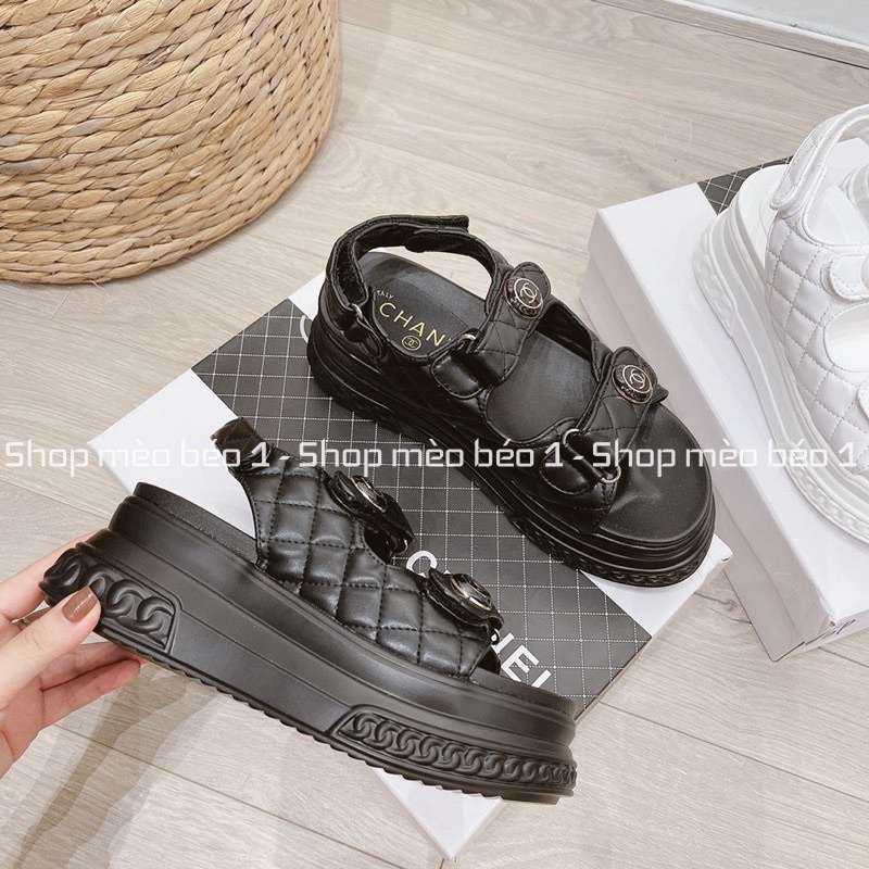 Sandal cn khuy tròn quai dán đế cao fullbox
