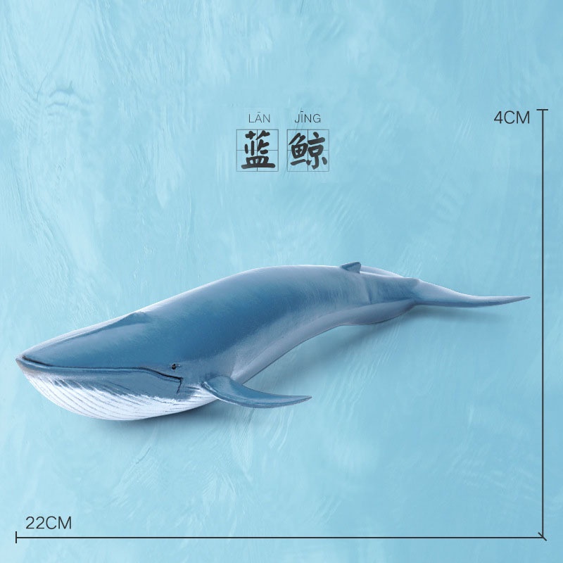 Mô Hình Cá Heo beluga killer / Cá Mập Trắng Bằng Nhựa Độc Đáo Trang Trí Cho Bé