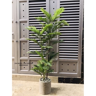 cây cau giả 1,6m