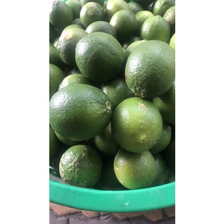 chanh tươi không hạt 1kg