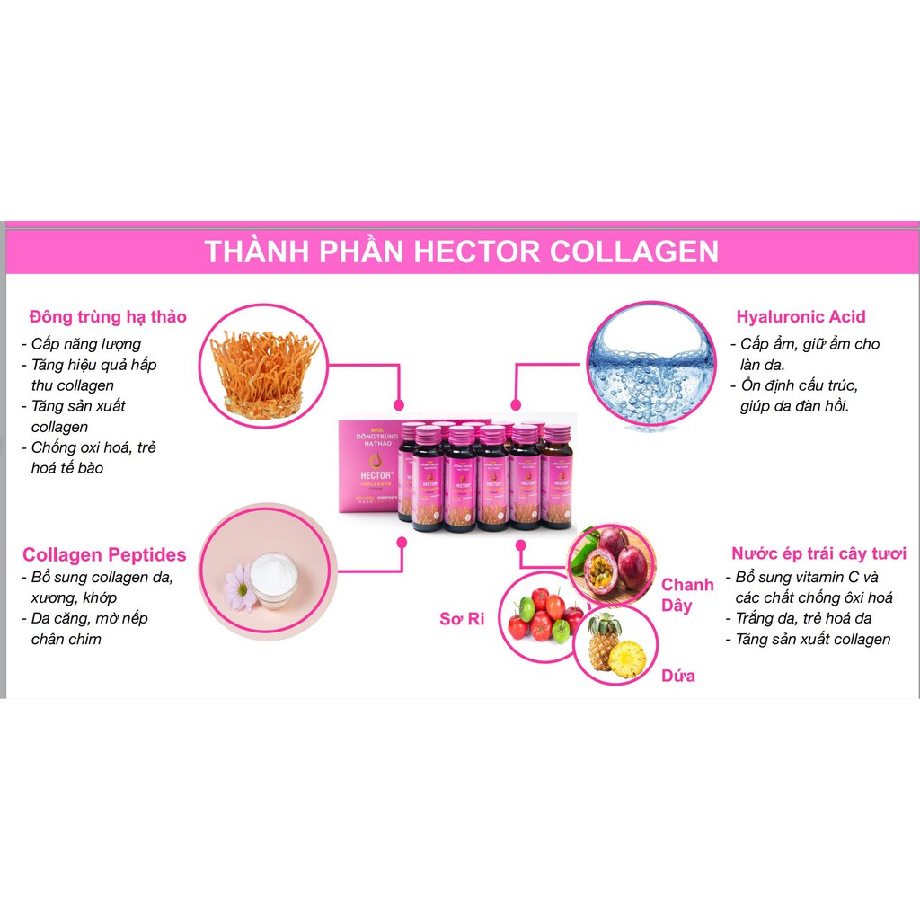 [Chính Hãng] Nước Đông Trùng Hạ Thảo Hector Collagen - Tách lẻ 5 Chai | BigBuy360 - bigbuy360.vn
